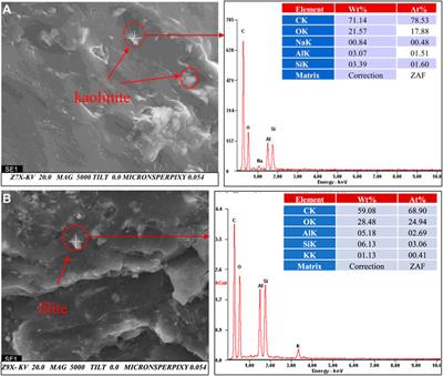 Study on coal seam physical characteristics and influence on stimulation: A case study of coal seams in zhengzhuang block
